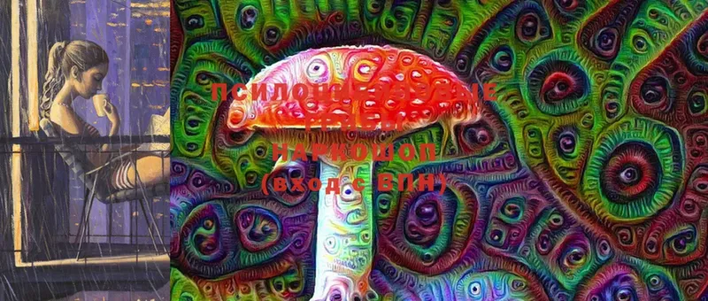 blacksprut маркетплейс  Инсар  Галлюциногенные грибы Cubensis 